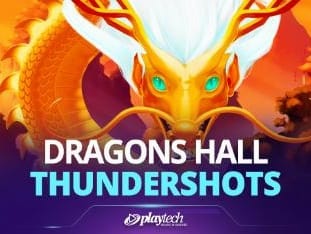Dragons Hall™ game thumbnail