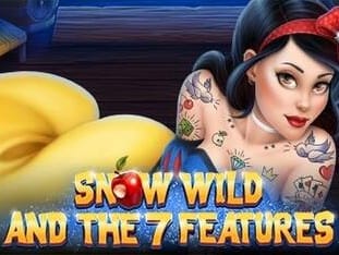 Snow Wild And The 7 Features game thumbnail